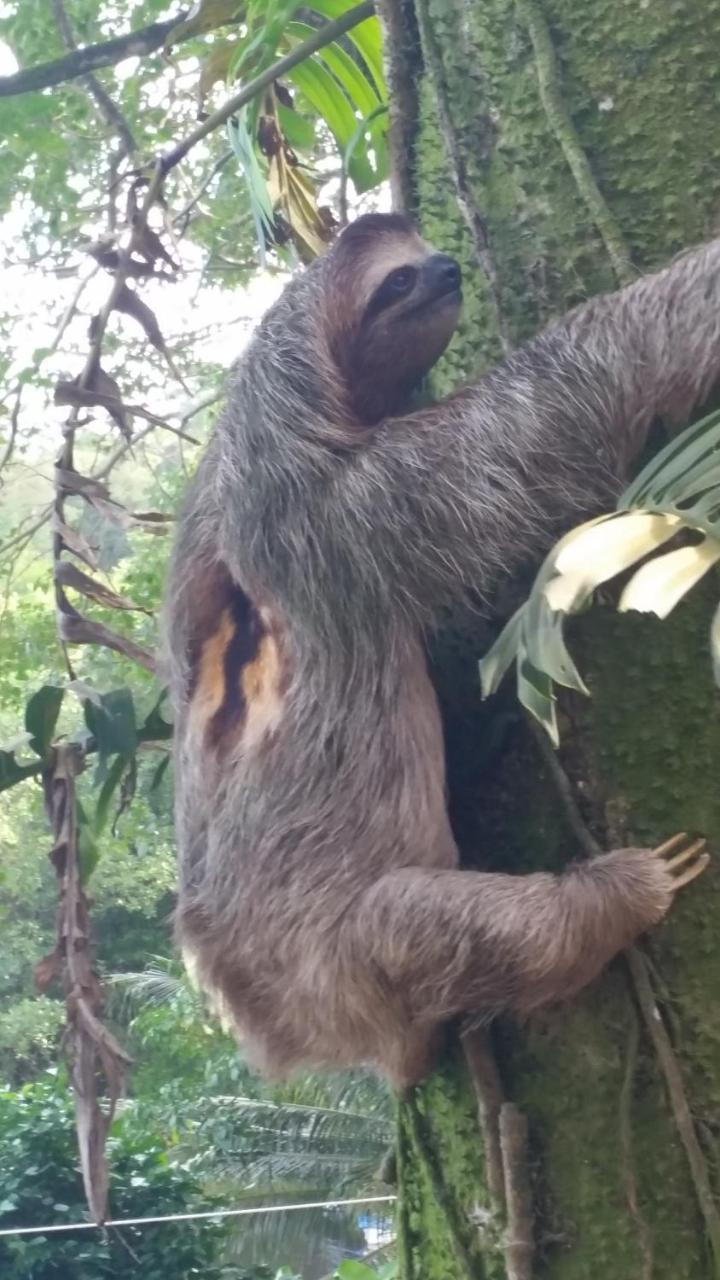 Panama Eco Resort Tierra Oscura Eksteriør billede