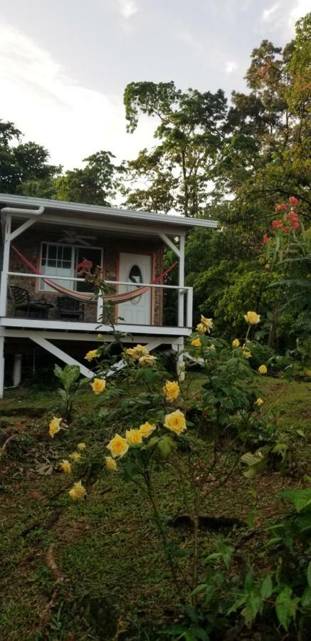 Panama Eco Resort Tierra Oscura Eksteriør billede